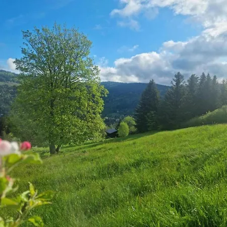 Valley View In With Private Garden