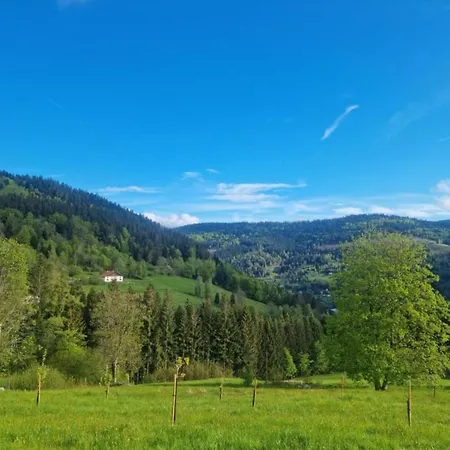 In La Bresse Near Slopes *