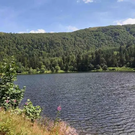 Villa In La Bresse Near Slopes *