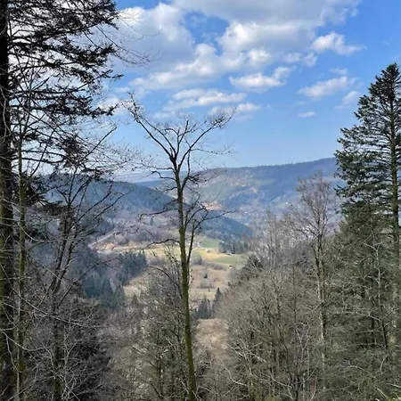 In La Bresse Near Slopes *