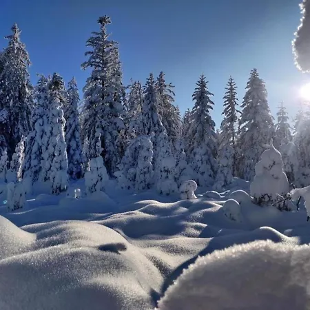 In La Bresse Near Slopes Le Ménil