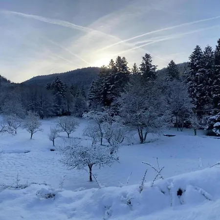 Вилла In La Bresse Near Slopes Le Menil