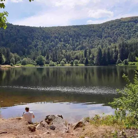 Villa In La Bresse Near Slopes *