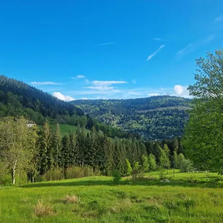 In La Bresse Near Slopes Вилла Le Menil