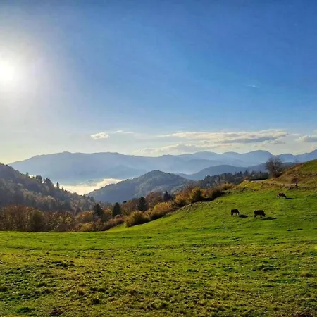 In La Bresse Near Slopes Villa