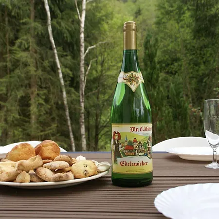 Villa In La Bresse Near Slopes *