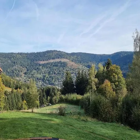 Villa In La Bresse Near Slopes Le Menil