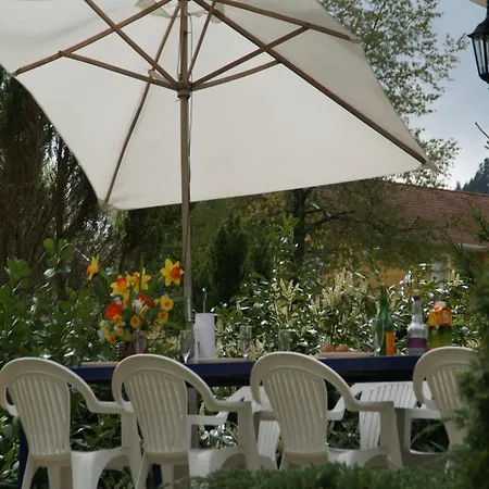 In La Bresse Near Slopes *