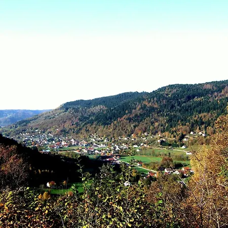 In La Bresse Near Slopes