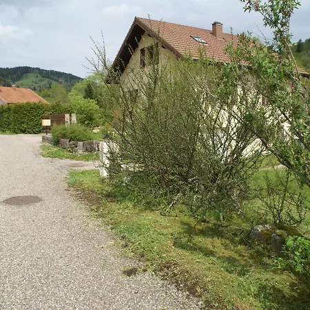 In La Bresse Near Slopes Villa *