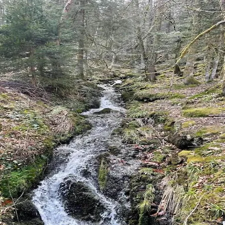 In La Bresse Near Slopes