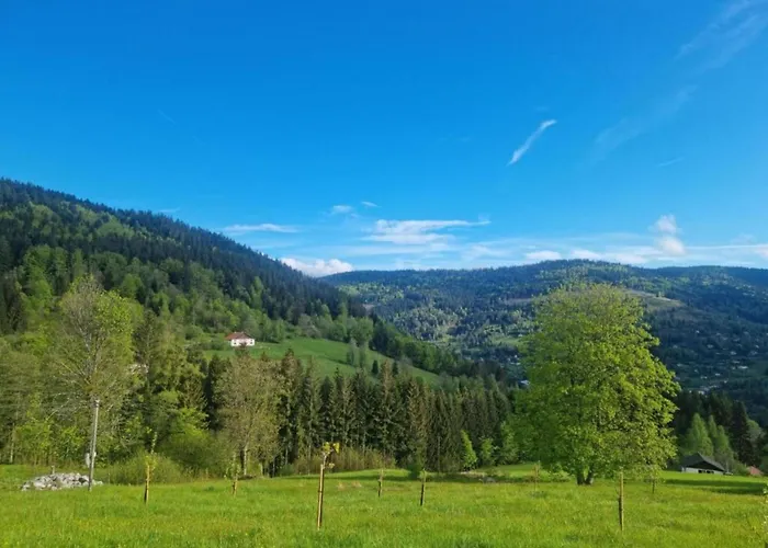 In La Bresse Near Slopes *