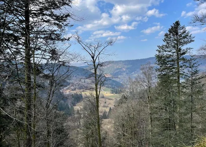 In La Bresse Near Slopes *