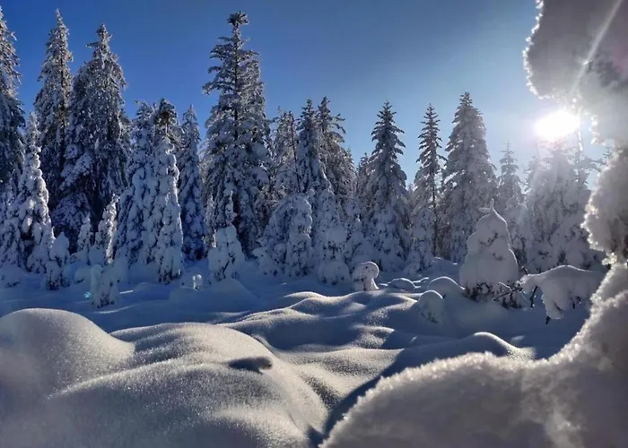 In La Bresse Near Slopes Le Menil