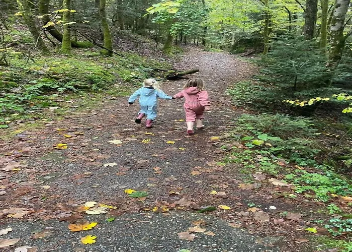 In La Bresse Near Slopes * Le Ménil