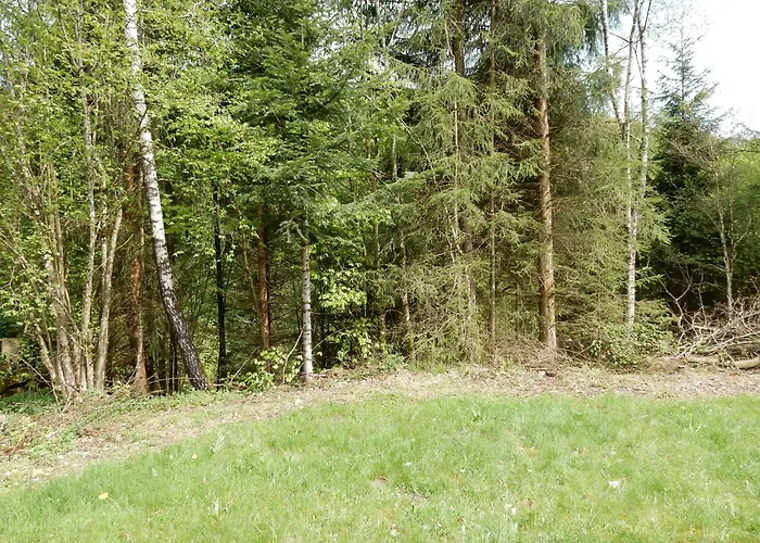 In La Bresse Near Slopes