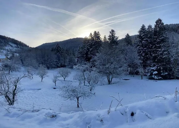 Вилла In La Bresse Near Slopes Le Menil