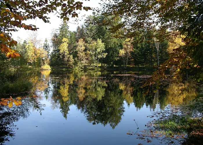 In La Bresse Near Slopes Le Ménil