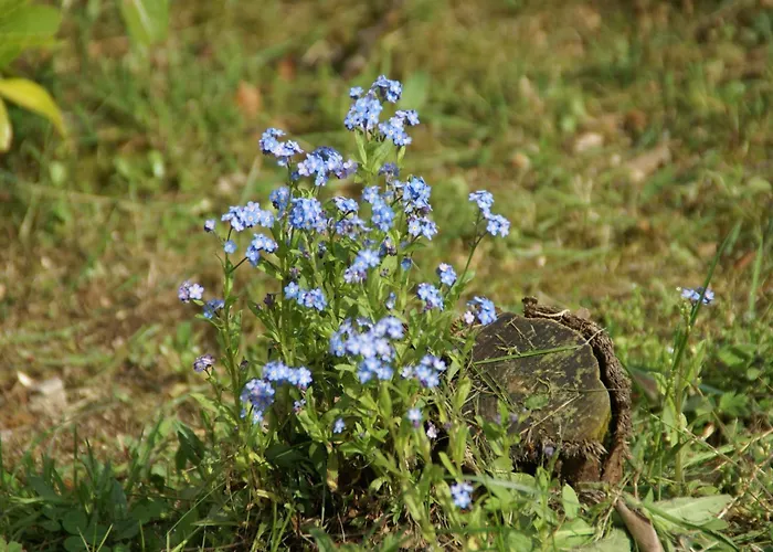 In La Bresse Near Slopes Вилла