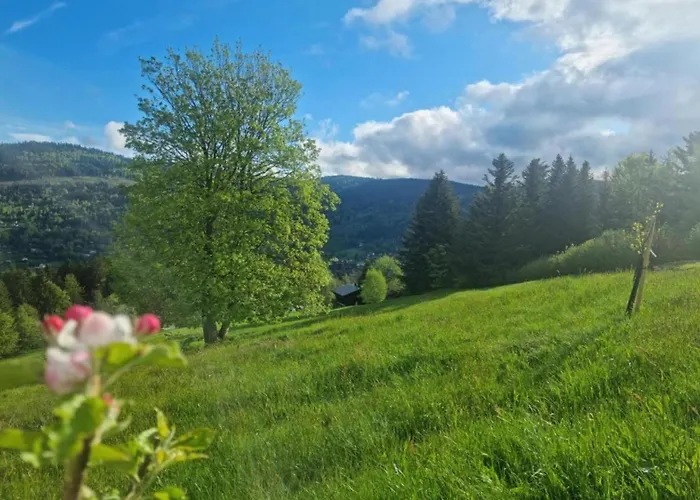 In La Bresse Near Slopes Villa *