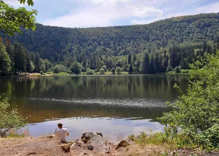 Villa In La Bresse Near Slopes *