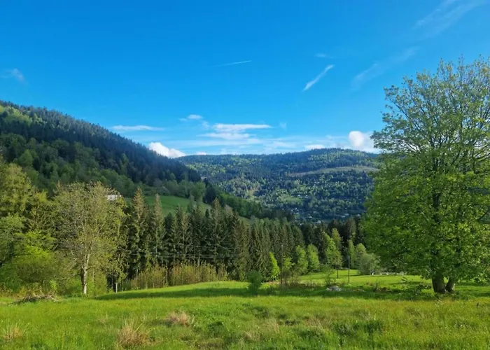 In La Bresse Near Slopes Villa Le Ménil