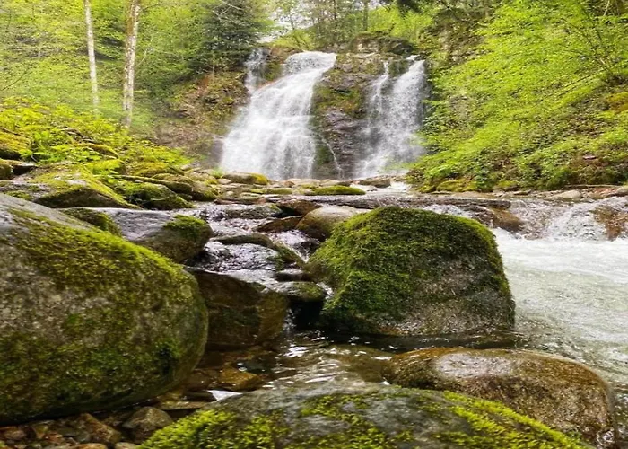 In La Bresse Near Slopes *