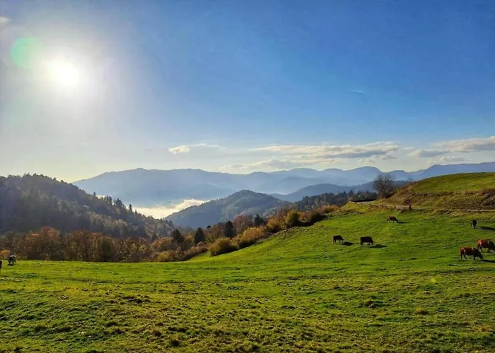 In La Bresse Near Slopes Villa