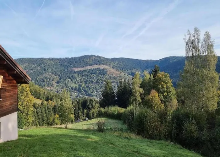 Villa In La Bresse Near Slopes Le Ménil