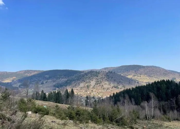 In La Bresse Near Slopes * Le Menil