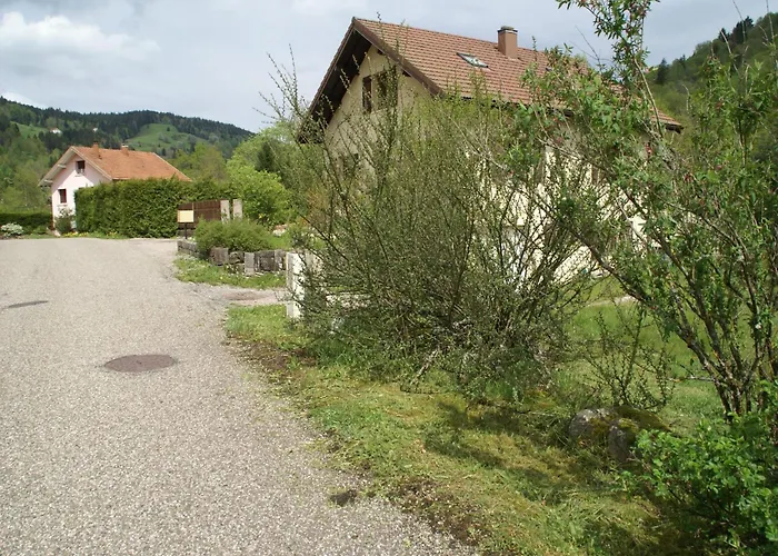 In La Bresse Near Slopes Villa *