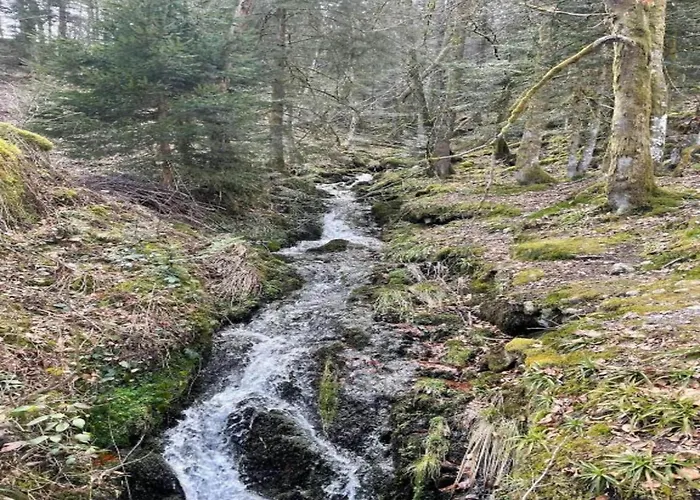 In La Bresse Near Slopes